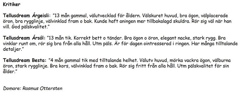 kritik_inoff_june_2023