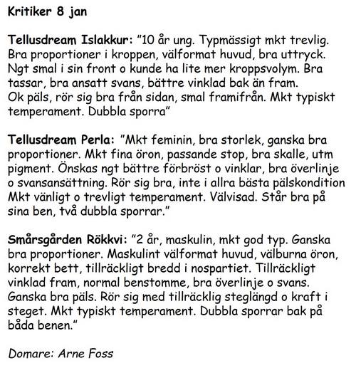 kritik_mydog_2023_