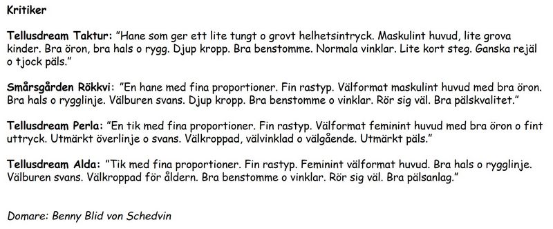 kritik_nrkp_2023