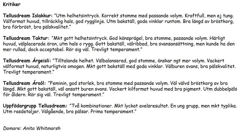 kritik_skara_2023