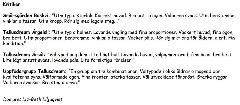 kritik_vbg_2023