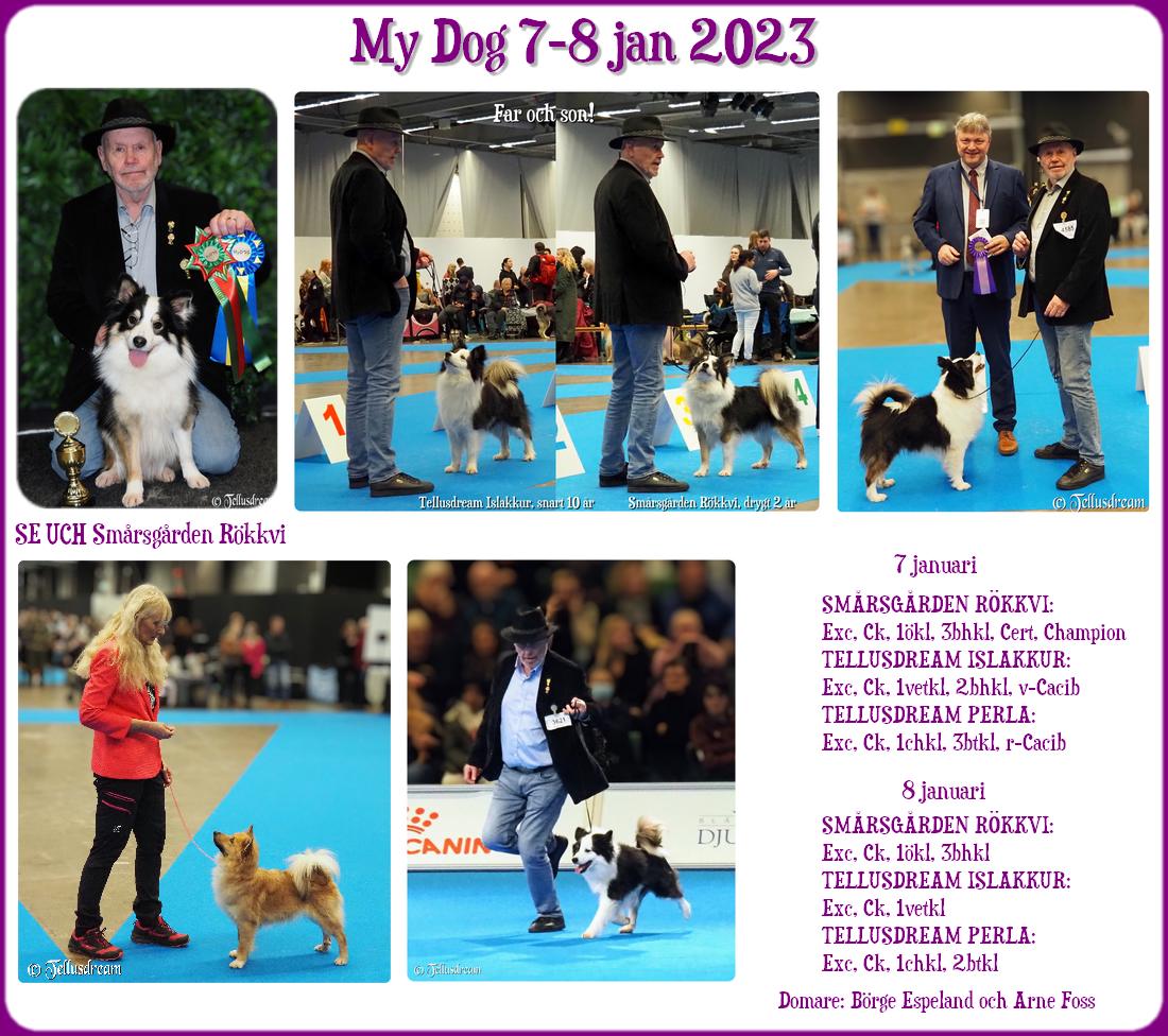 mydog_2023
